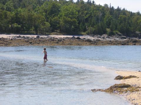 Coastal cleanup planned for Sept. 16-23