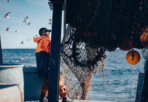 Coastal Maine Groups Net Funding