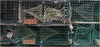 $15,000 reward offered in lobster trap cutting case