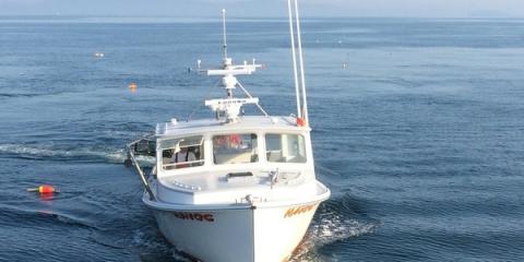 Value of Maine's marine harvest at record high;But warmer ocean water threatens some species