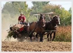 Common Ground Fair