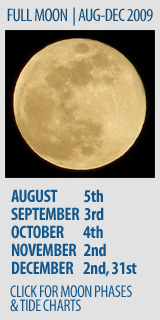 Full Moon Chart