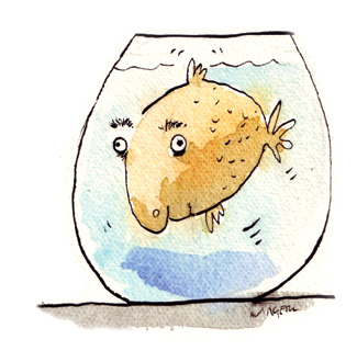 Fish illustration